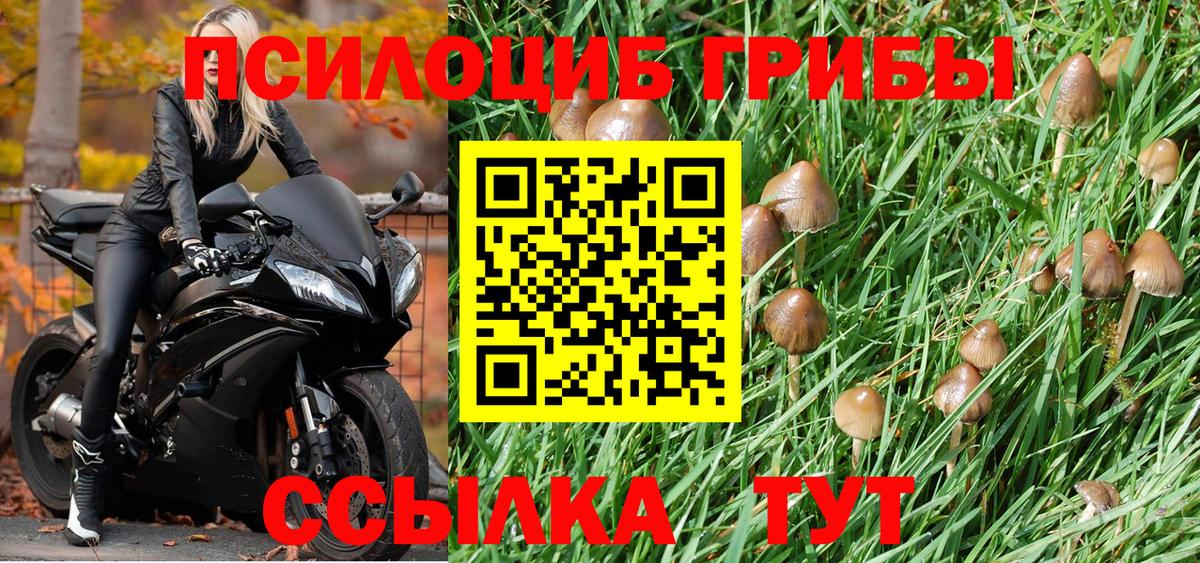 Галлюциногенные грибы MAGIC MUSHROOMS Орехово-Зуево